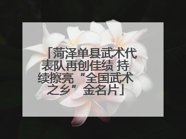 菏泽单县武术代表队再创佳绩 持续擦亮“全国武术之乡”金名片