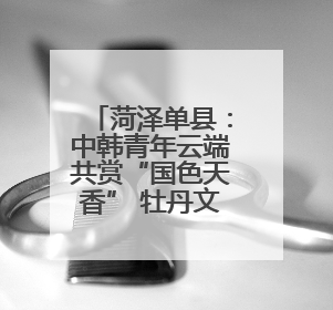 菏泽单县：中韩青年云端共赏“国色天香” 牡丹文化架起友谊桥梁