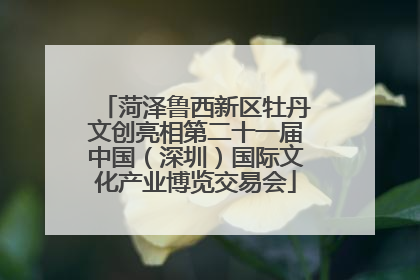 菏泽鲁西新区牡丹文创亮相第二十一届中国（深圳）国际文化产业博览交易会