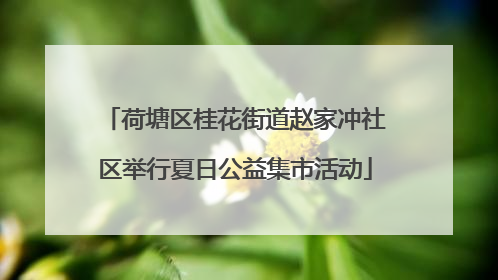 荷塘区桂花街道赵家冲社区举行夏日公益集市活动