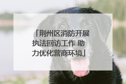 荆州区消防开展执法回访工作 助力优化营商环境