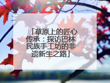 草原上的匠心传承：探访巴林民族手工坊的非遗新生之路