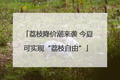 荔枝降价潮来袭 今夏可实现“荔枝自由”
