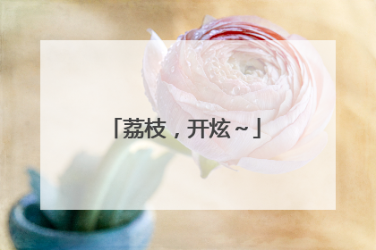 荔枝，开炫～
