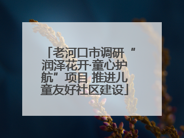 老河口市调研“润泽花开·童心护航”项目 推进儿童友好社区建设