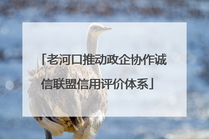 老河口推动政企协作诚信联盟信用评价体系