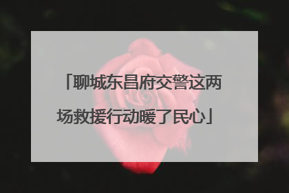 聊城东昌府交警这两场救援行动暖了民心