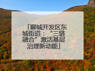 聊城开发区东城街道：“三链融合”激活基层治理新动能
