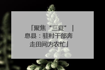 聚焦“三夏”｜息县：驻村干部奔走田间为农忙
