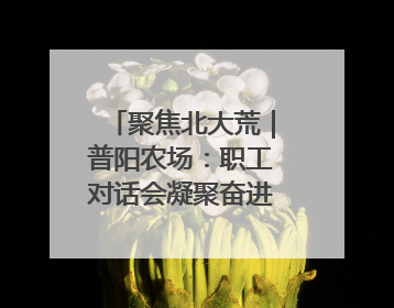 聚焦北大荒｜普阳农场：职工对话会凝聚奋进“强磁场”
