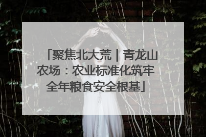 聚焦北大荒｜青龙山农场：农业标准化筑牢全年粮食安全根基