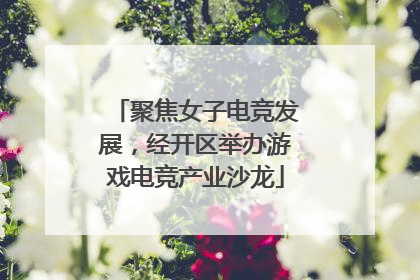聚焦女子电竞发展，经开区举办游戏电竞产业沙龙