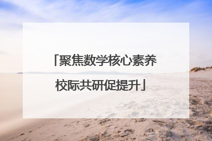 聚焦数学核心素养 校际共研促提升