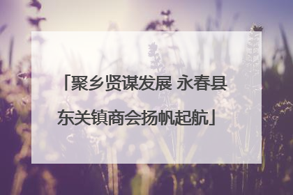 聚乡贤谋发展 永春县东关镇商会扬帆起航