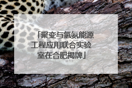 聚变与氢氨能源工程应用联合实验室在合肥揭牌