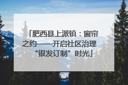 肥西县上派镇：窗帘之约——开启社区治理“银发订制”时光