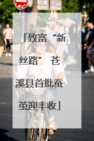 致富“新丝路” 苍溪县首批蚕茧迎丰收