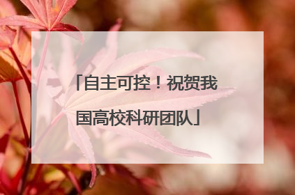 自主可控！祝贺我国高校科研团队