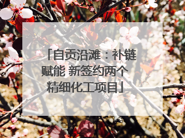 自贡沿滩：补链赋能 新签约两个精细化工项目