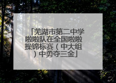 芜湖市第二中学啦啦队在全国啦啦操锦标赛（中大组）中勇夺三金