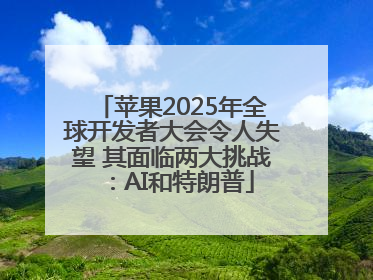 苹果2025年全球开发者大会令人失望 其面临两大挑战：AI和特朗普