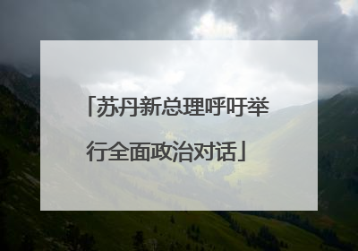 苏丹新总理呼吁举行全面政治对话