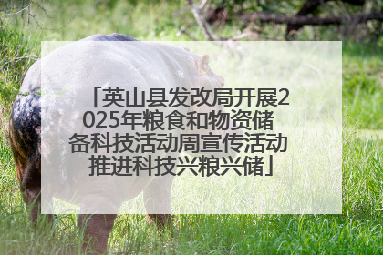 英山县发改局开展2025年粮食和物资储备科技活动周宣传活动 推进科技兴粮兴储