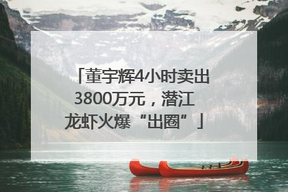 董宇辉4小时卖出3800万元，潜江龙虾火爆“出圈”
