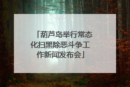 葫芦岛举行常态化扫黑除恶斗争工作新闻发布会