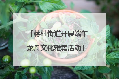 蒋村街道开展端午龙舟文化雅集活动
