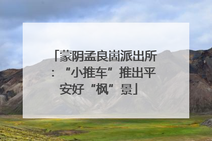 蒙阴孟良崮派出所：“小推车”推出平安好“枫”景