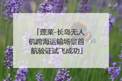 蓬莱-长岛无人机跨海运输场景首航验证试飞成功