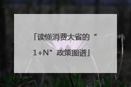 读懂消费大省的“1+N”政策图谱