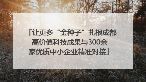 让更多“金种子”扎根成都 高价值科技成果与300余家优质中小企业精准对接