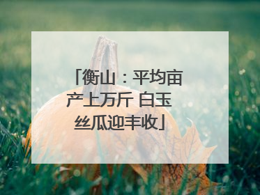 衡山：平均亩产上万斤 白玉丝瓜迎丰收