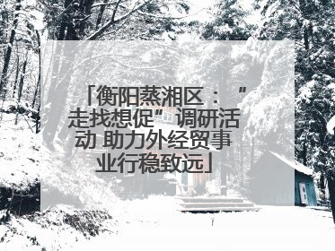 衡阳蒸湘区：“走找想促”调研活动 助力外经贸事业行稳致远