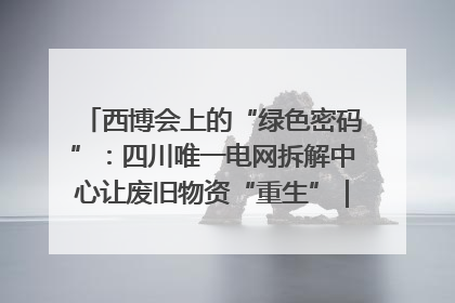 西博会上的“绿色密码”：四川唯一电网拆解中心让废旧物资“重生”｜西博寻“新”记