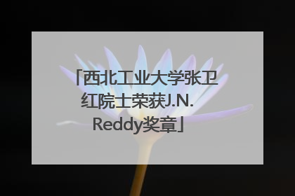 西北工业大学张卫红院士荣获J.N.Reddy奖章