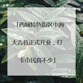 西城特色街区中海大吉巷正式开业，打卡市民真不少