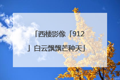 西楼影像「912」白云飘飘芒种天