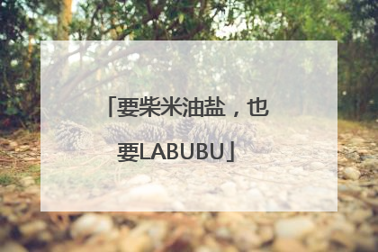 要柴米油盐,也要LABUBU