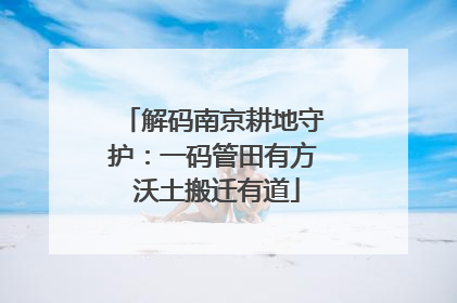 解码南京耕地守护：一码管田有方 沃土搬迁有道