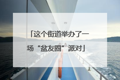这个街道举办了一场“盆友圈”派对