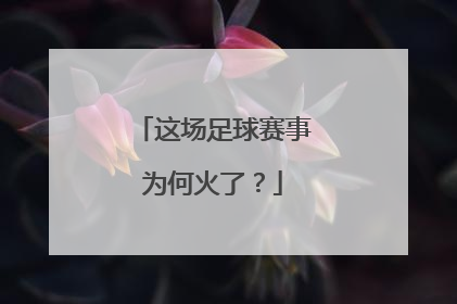 这场足球赛事为何火了？