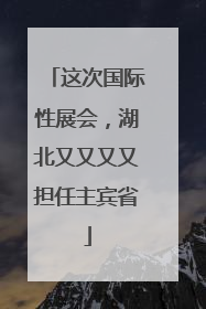 这次国际性展会，湖北又又又又担任主宾省