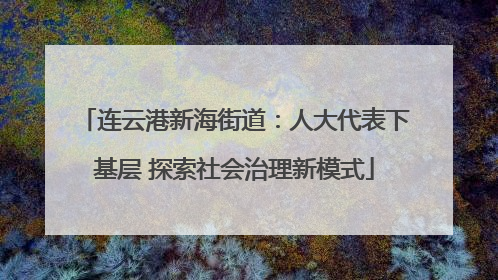 连云港新海街道：人大代表下基层 探索社会治理新模式