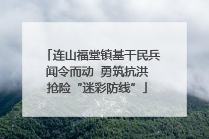 连山福堂镇基干民兵闻令而动  勇筑抗洪抢险“迷彩防线”