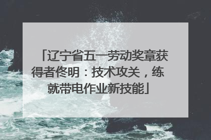 辽宁省五一劳动奖章获得者佟明：技术攻关，练就带电作业新技能