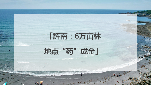 辉南：6万亩林地点“药”成金