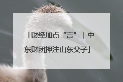 财经加点“言”｜中东财团押注山东父子
